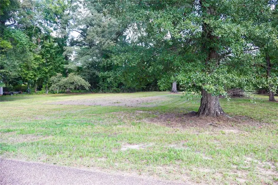 Camille Street, Amite, LA 70422 - #3