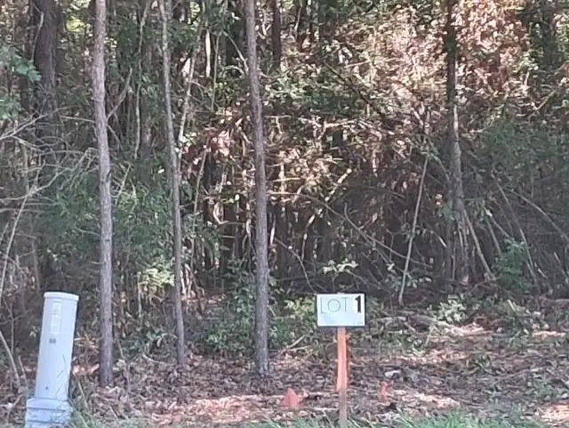 La 424 - Lot 1 Highway, Franklinton, LA 70438 - #1
