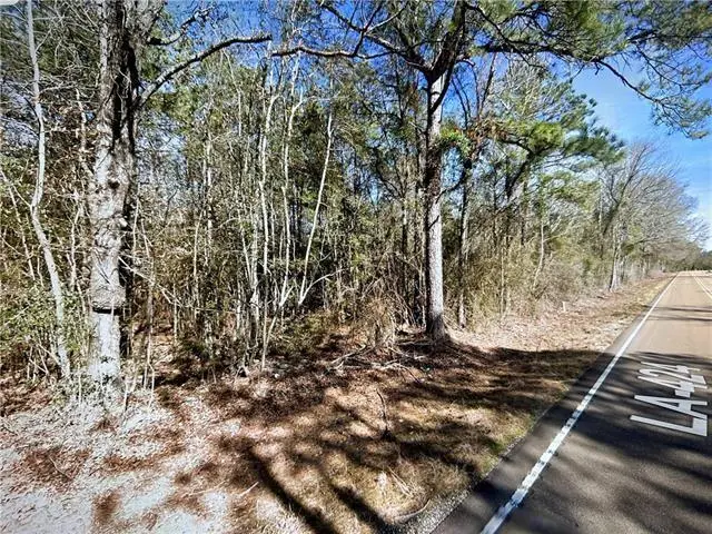 La 424 - Lot 1 Highway, Franklinton, LA 70438 - #2
