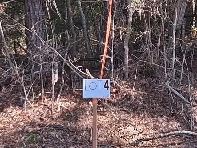 La Hwy 424 - Lot 4, Franklinton, LA 70438 - #1