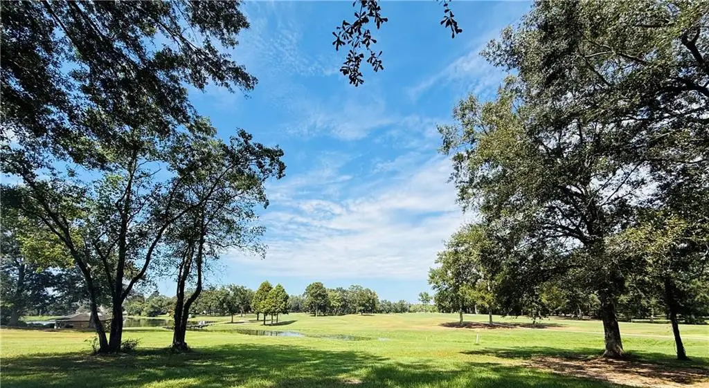 841 Camphill Drive, Abita Springs, LA 70420 - #1