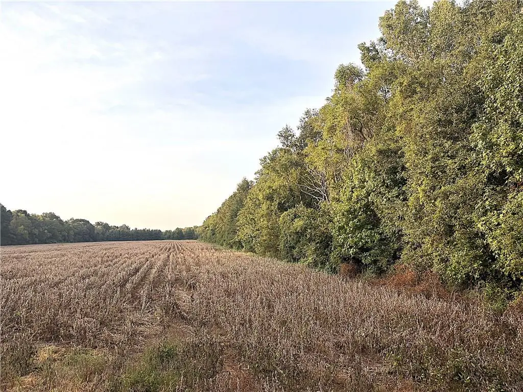 180 Highway, Plaucheville, LA 71362 - #1