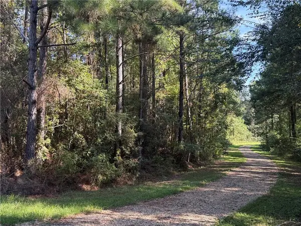 TBD Izebella Drive, Amite City, LA 70422