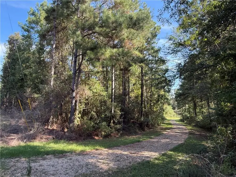 TBD Izebella Drive, Amite City, LA 70422 - #2