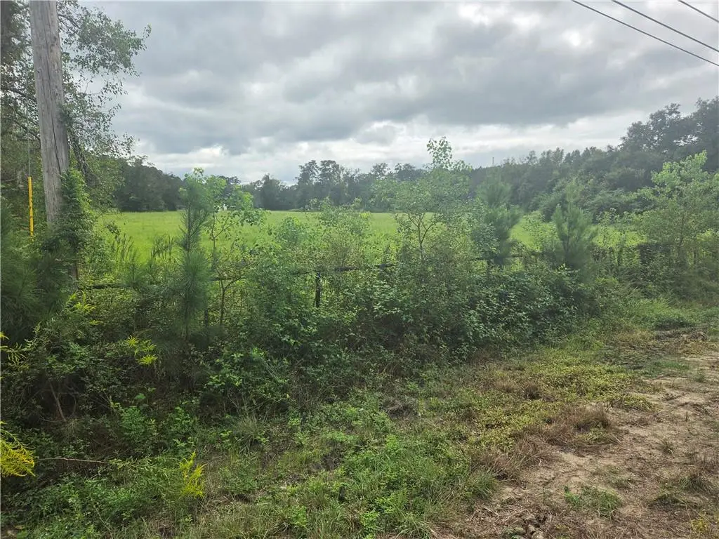 Highway 442, Tickfaw, LA 70466 - #1