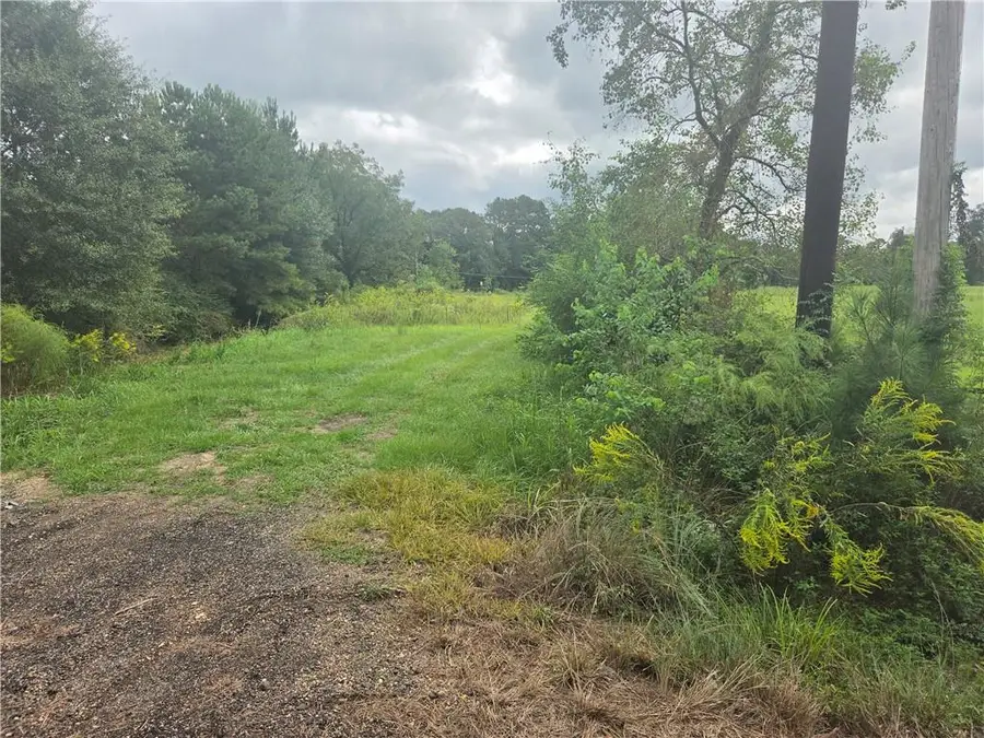 Highway 442, Tickfaw, LA 70466 - #2