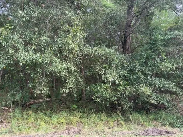 0 Sunrise Lake Drive, Lacombe, LA 70445 - #3