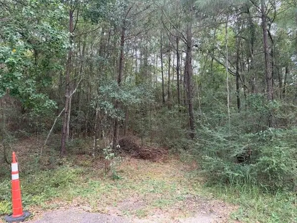 0 Sunrise Lake Drive, Lacombe, LA 70445