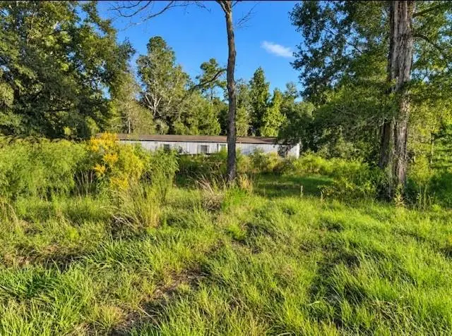 13185 Miley Niquiporo Road, Tickfaw, LA 70466 - #1