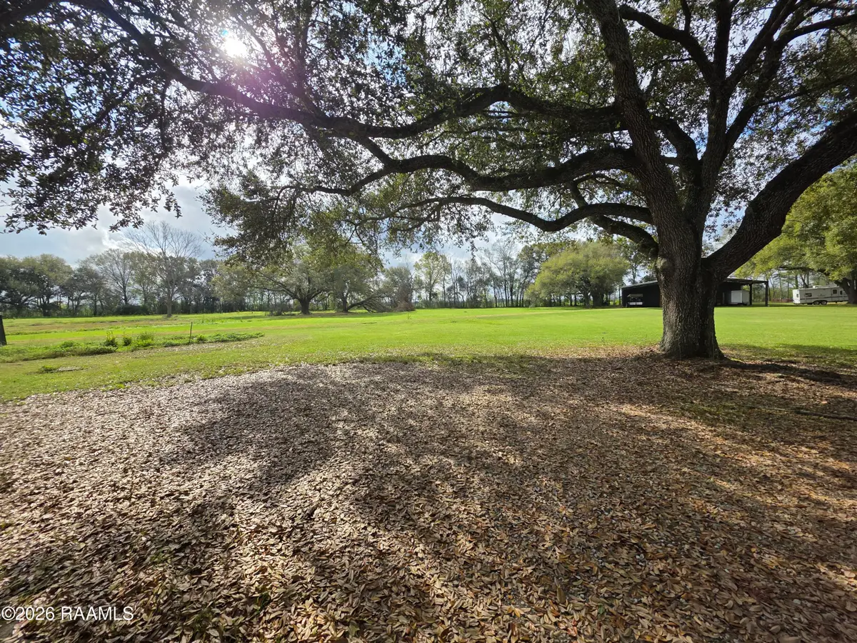 Vidrine Road, Ville Platte, LA 70586 - #1
