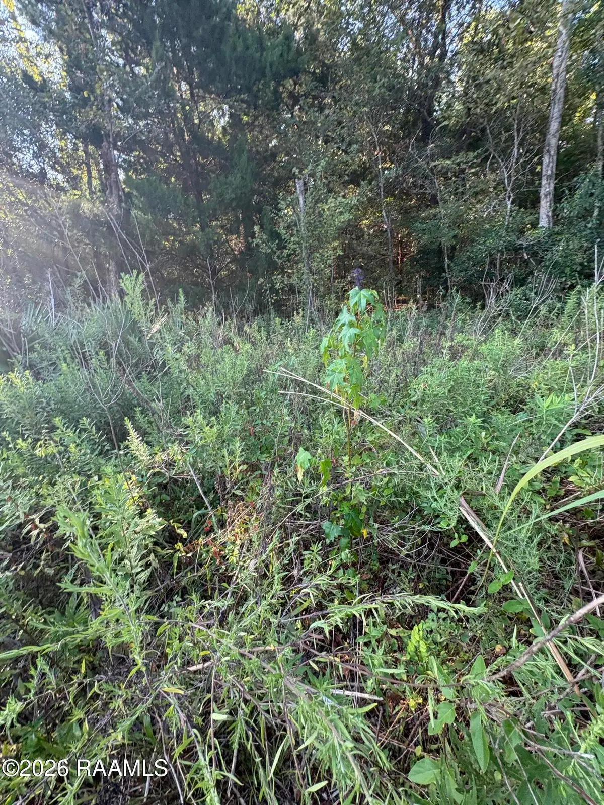 0 Tbd La. Highway 333, Abbeville, LA 70510 - #1