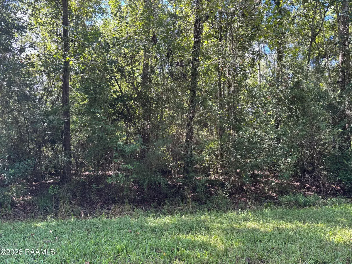 Tbd Cecil Lane, Abbeville, LA 70510 - #1