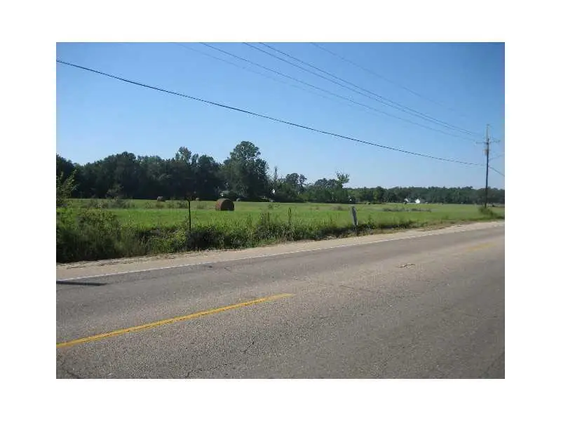 46375 E Hwy 190 / Myers Road, Hammond, LA 70403 - Image #2