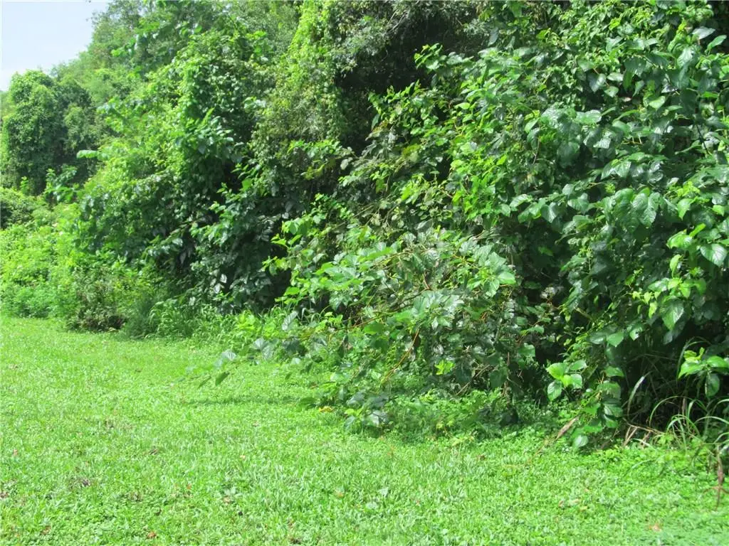 Donald & Winston Street, New Orleans, LA 70131 - Image #1