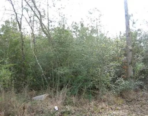 Strader Road, Ponchatoula, LA 70454 - Image #2