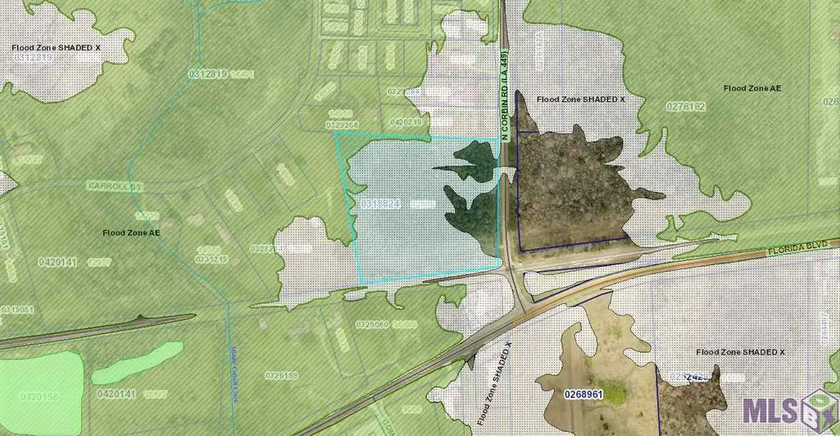 TBD La Hwy 449, Walker, LA 70785 - Image #1