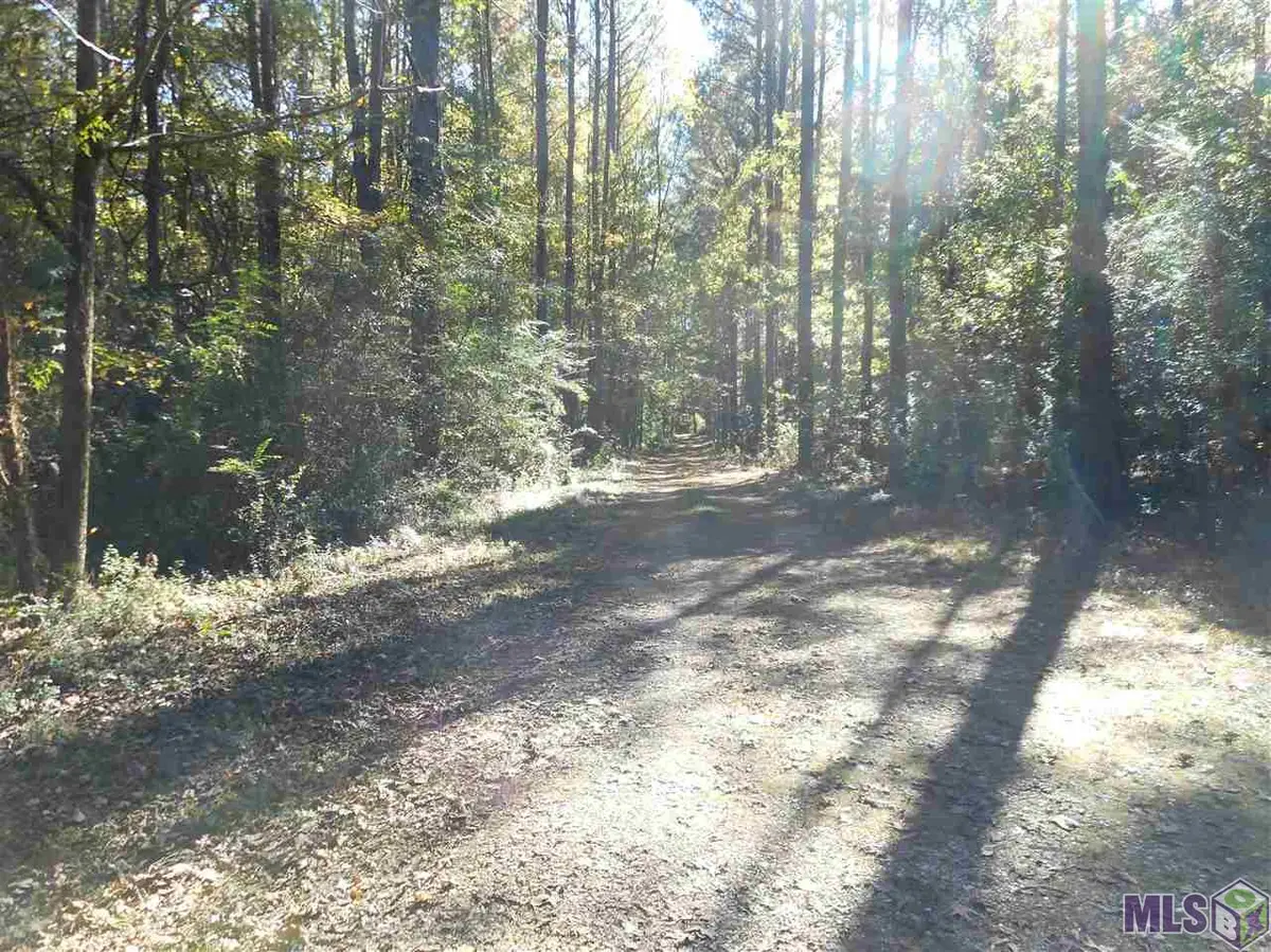 7430 Lane Rd, Ethel, LA 70730 - #1