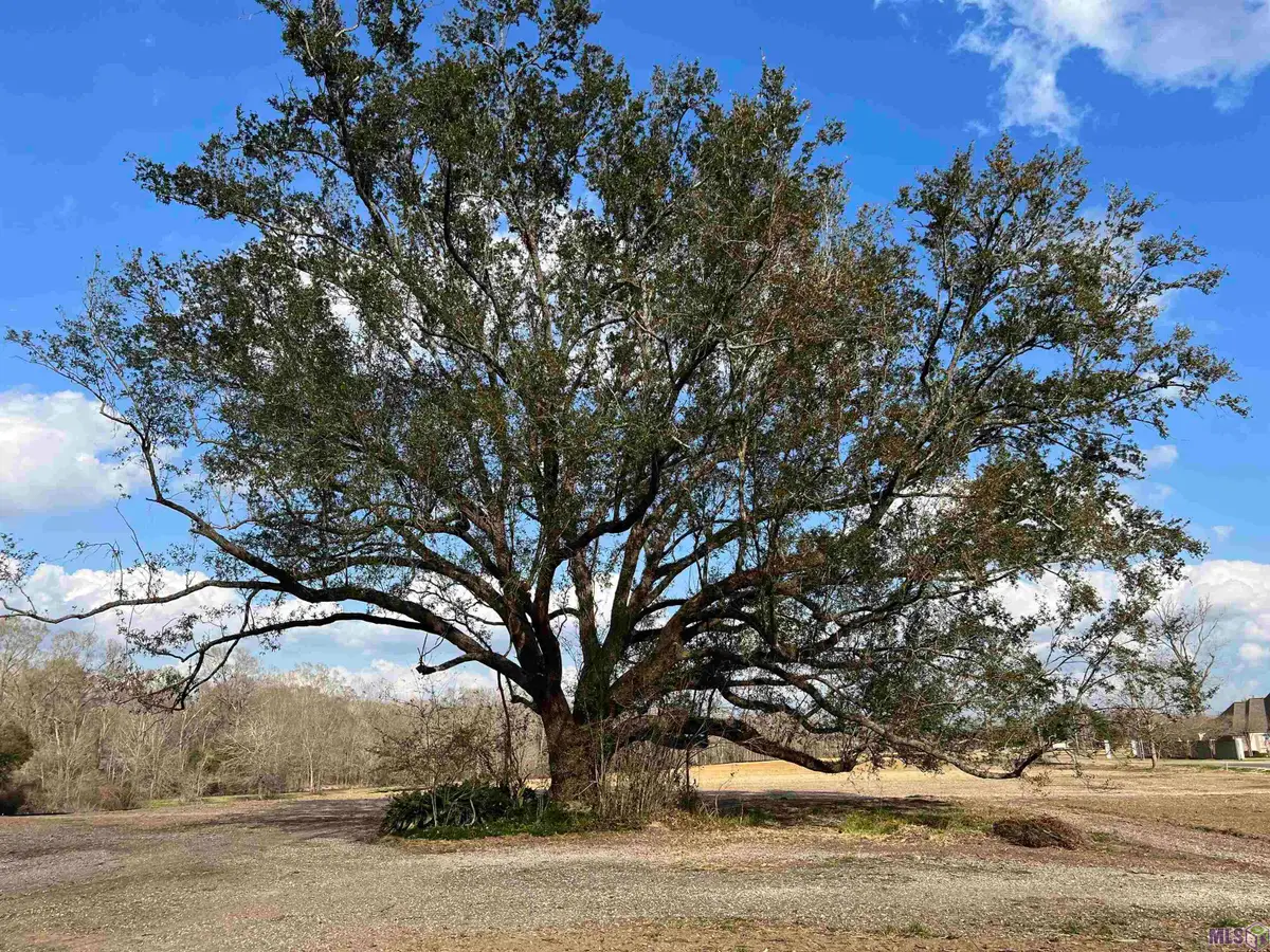 38186 Oakland Dr, Prairieville, LA 70769 - Image #1