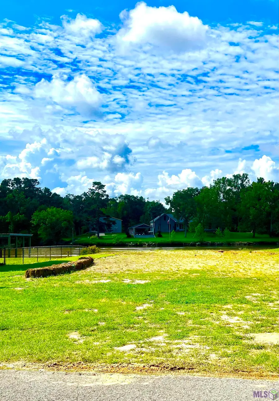 14069 Mill Settlement Trace, Denham Springs, LA 70726 - #2