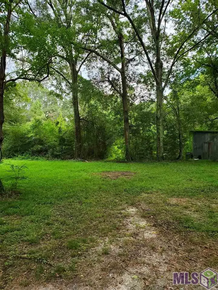 31460 La Hwy 16, Denham Springs, LA 70726 - #2