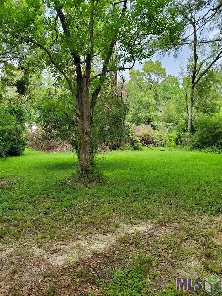 31460 La Hwy 16, Denham Springs, LA 70726 - #3