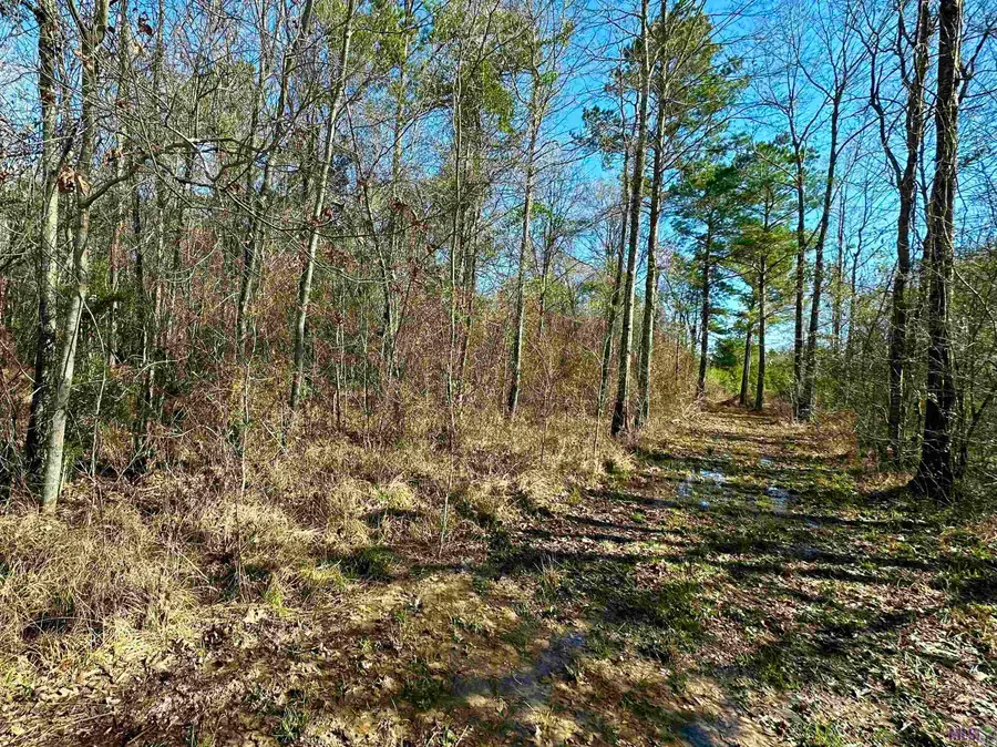 D-4-A Stella Ln, Walker, LA 70785 - Image #2