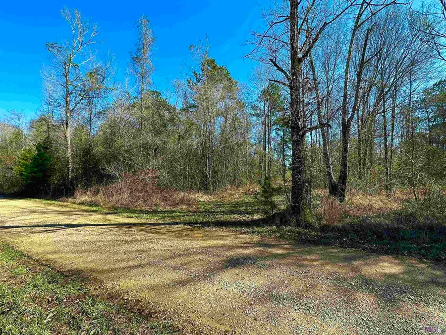 D-4-A Stella Ln, Walker, LA 70785 - Image #3