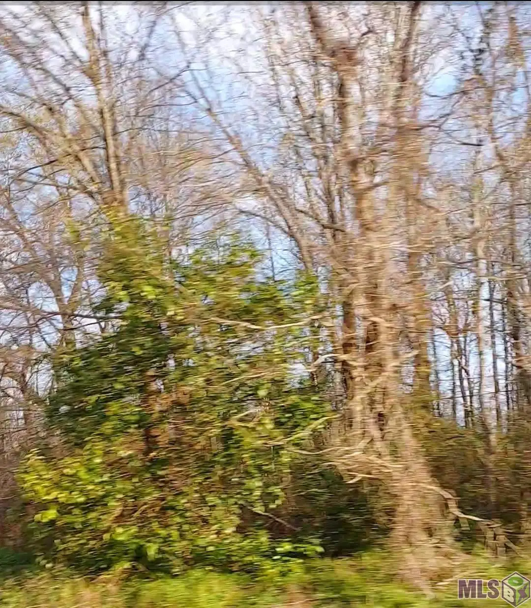 Lot 50-A El Scott Ave, Baton Rouge, LA 70811 - Image #1