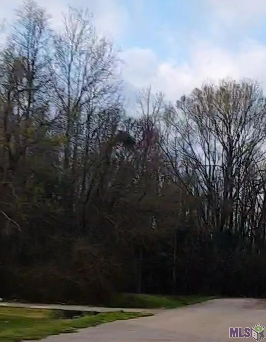 Lot 96 Charlene Dr, Baton Rouge, LA 70811 - #1