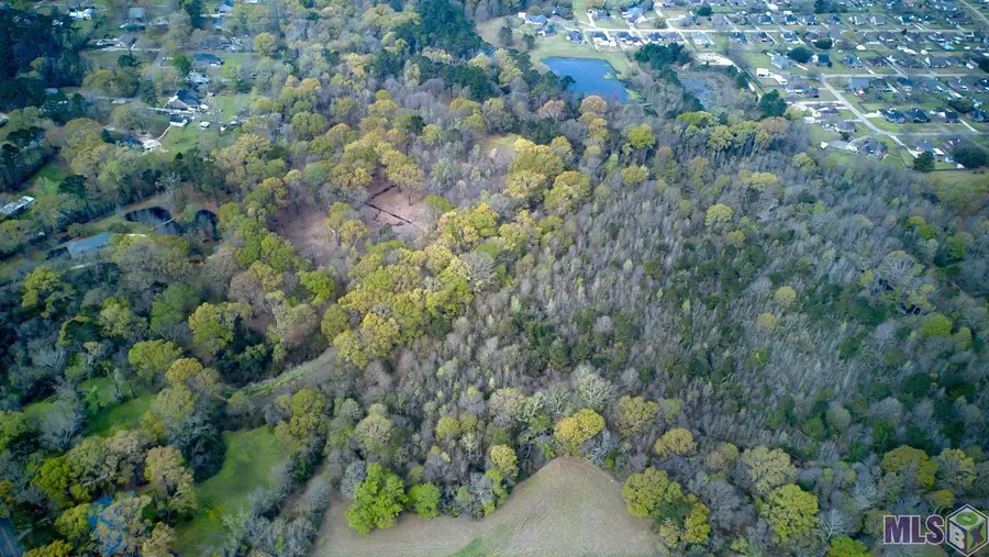 25547 Juban Rd, Denham Springs, LA 70726 - Image #2