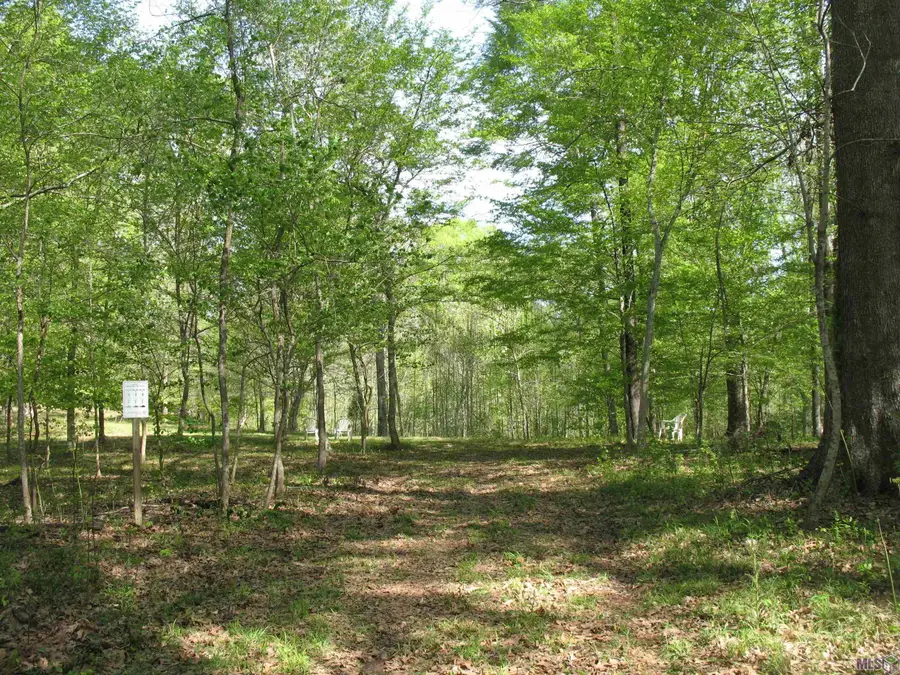 5850 Alexander Dr, Saint Francisville, LA 70775 - Image #2