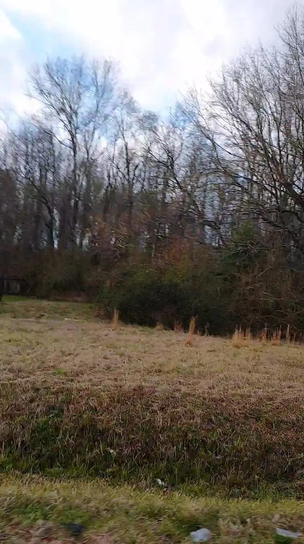 Lot 111 El Scott Ave, Baton Rouge, LA 70811 - Image #1