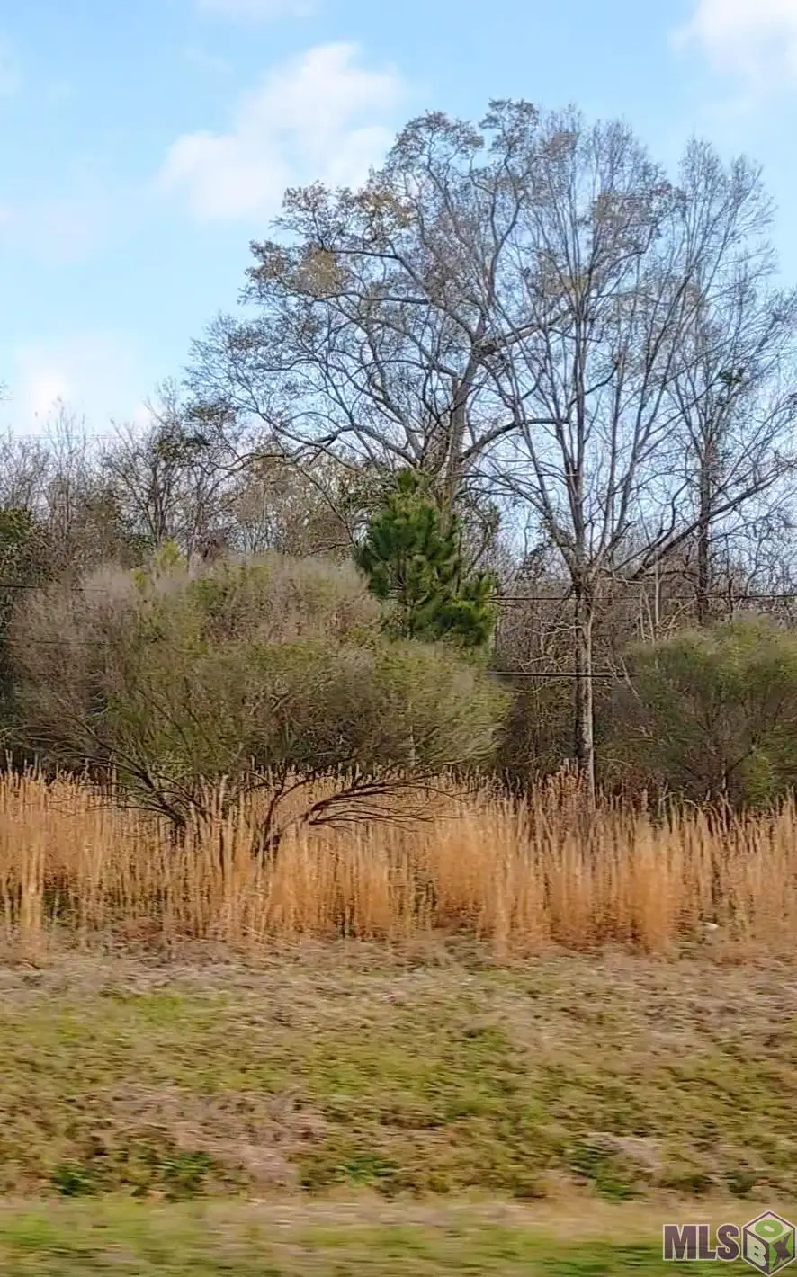 Lot 36 A&B El Scott Ave, Baton Rouge, LA 70811 - Image #1