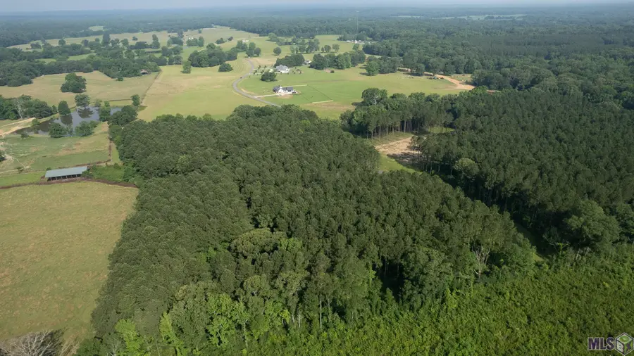 90102 Basil Ln, Saint Francisville, LA 70775 - Image #2