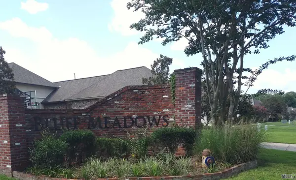 36187 Bluff Meadows Dr, Prairieville, LA 70769