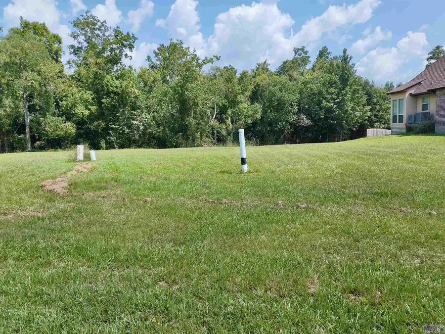 36187 Bluff Meadows Dr, Prairieville, LA 70769 - Image #2