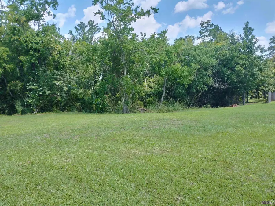 36187 Bluff Meadows Dr, Prairieville, LA 70769 - Image #3