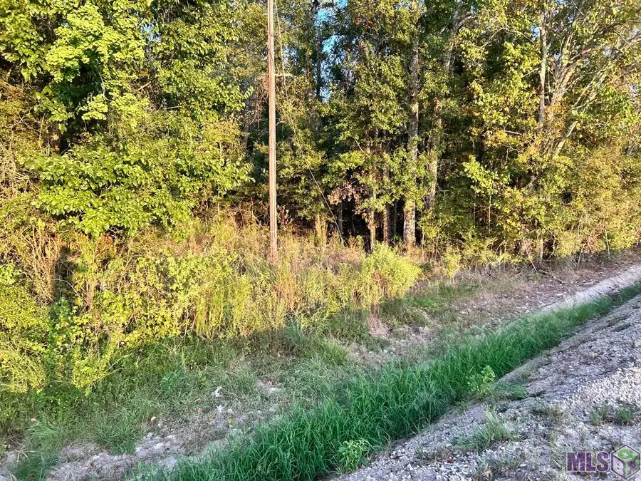 TBA 1-A La Hwy 431, Prairieville, LA 70769 - Image #2