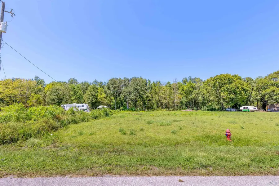 184 Marina Dr, Gibson, LA 70356 - #2