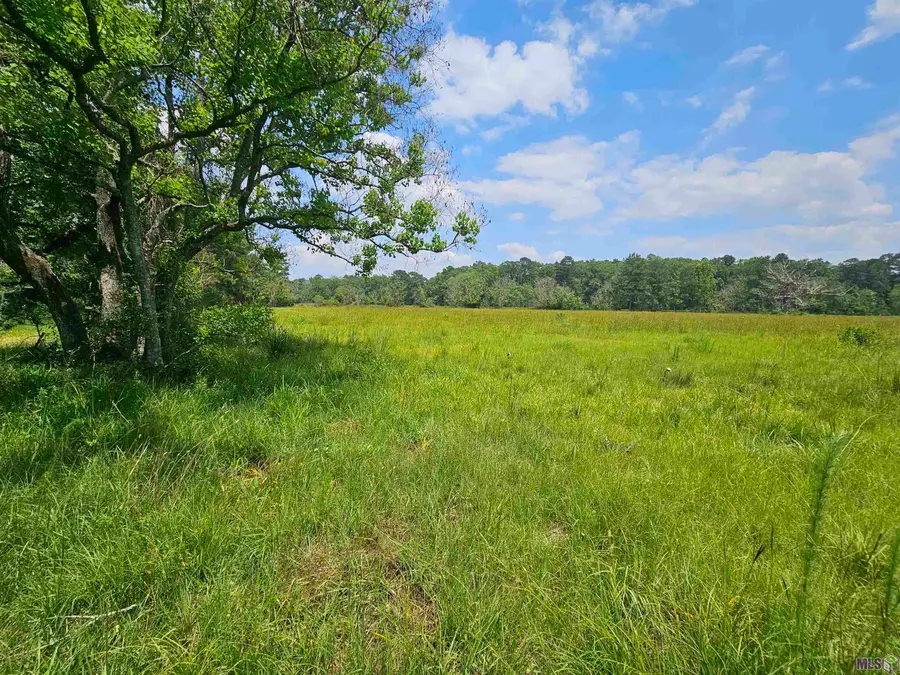 tbd Chaney Rd, Zachary, LA 70791 - Image #3