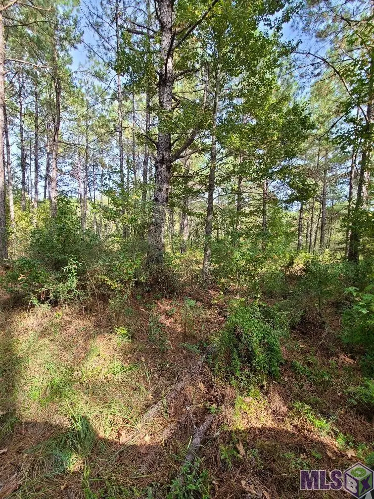 77274 Hwy 1054, Kentwood, LA 70444 - Image #2