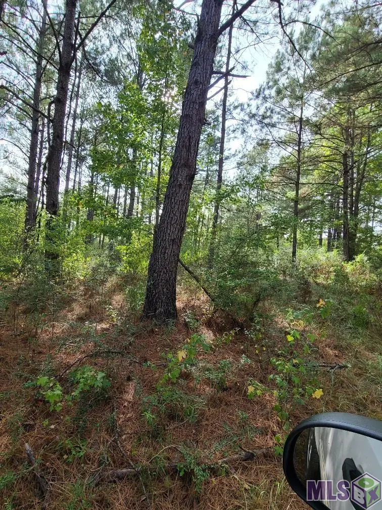 77274 Hwy 1054, Kentwood, LA 70444 - Image #3