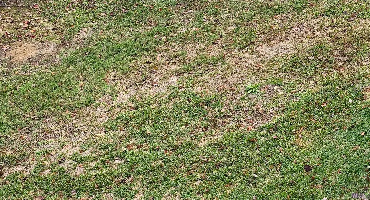 Lot 68 A&B El Scott Ave, Baton Rouge, LA 70811 - Image #1