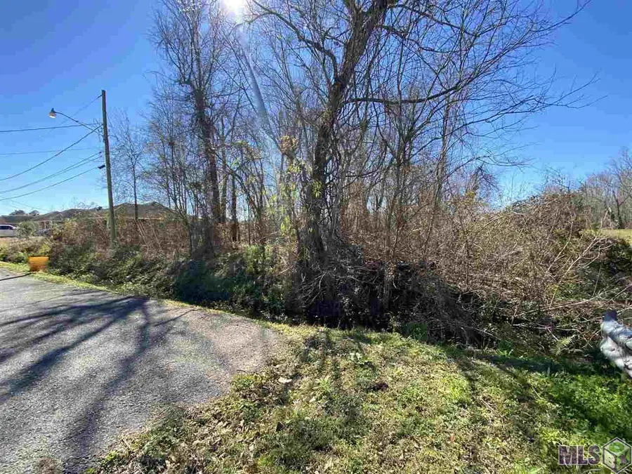 # 14 Magnolia Ave, Laplace, LA 70068 - Image #3