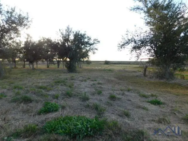 TBD South Alex Plaisance Boulevard, Golden Meadow, LA 70357 - #1