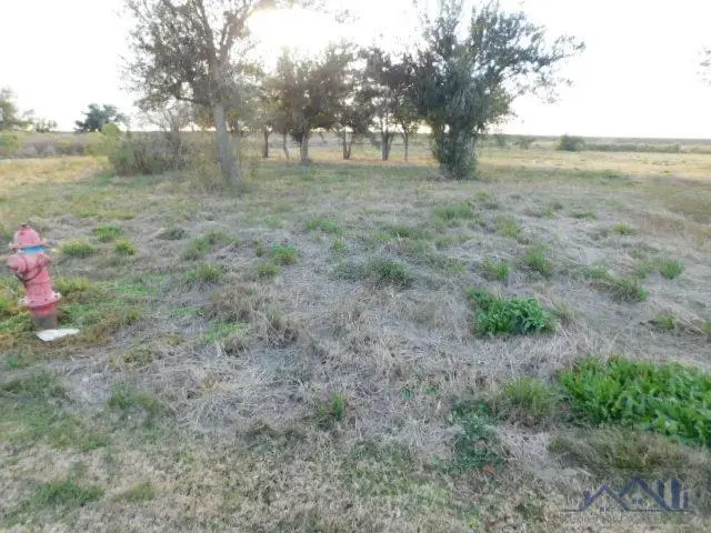 TBD South Alex Plaisance Boulevard, Golden Meadow, LA 70357 - #2