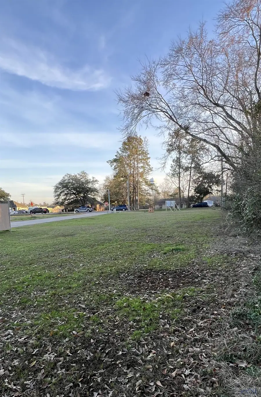 34863 La Hwy 1019, Denham Springs, LA 70706 - #2