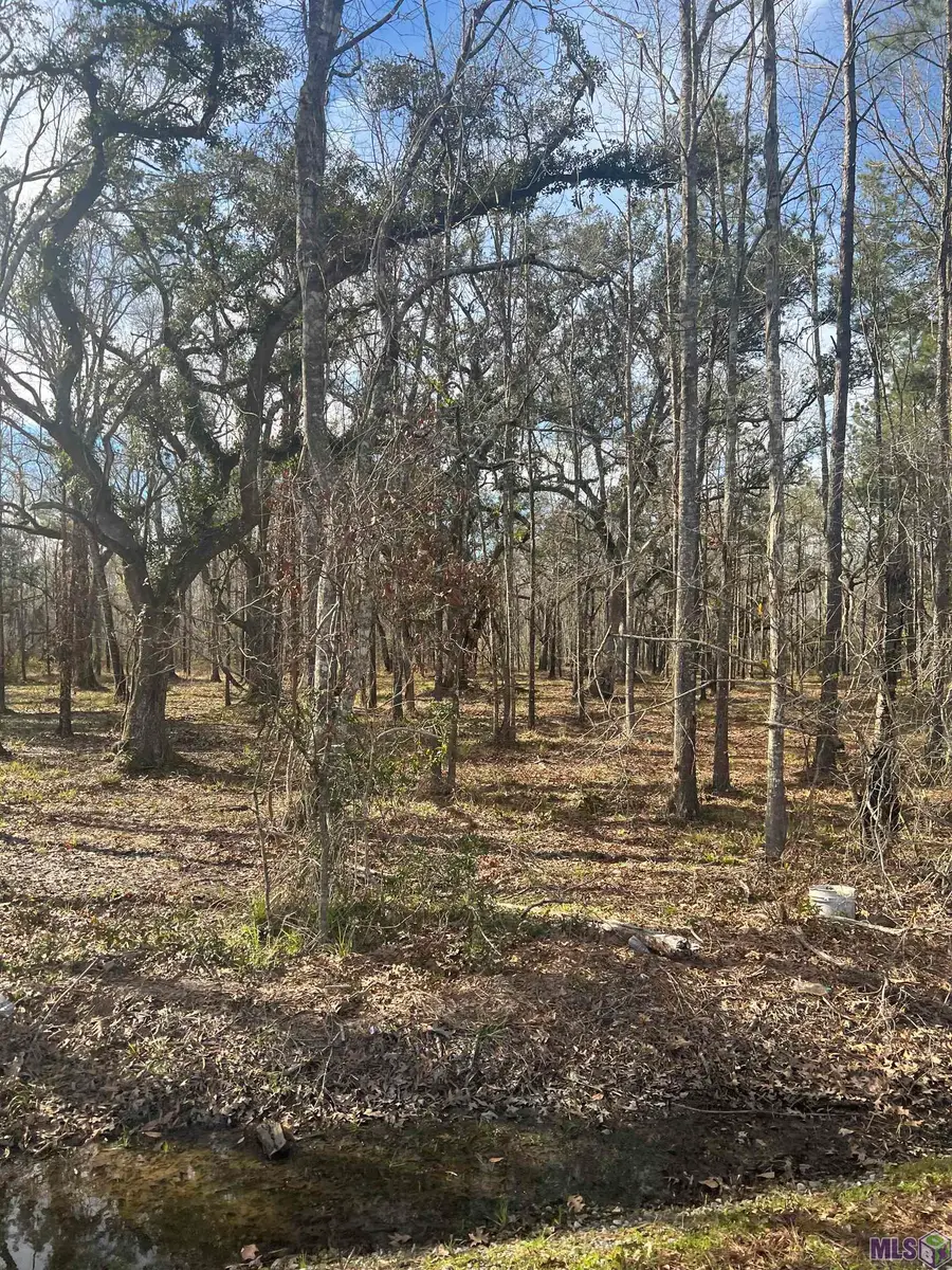 WC-6 Coates Rd, Springfield, LA 70462 - Image #2