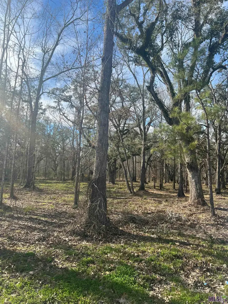 WC-6 Coates Rd, Springfield, LA 70462 - Image #3