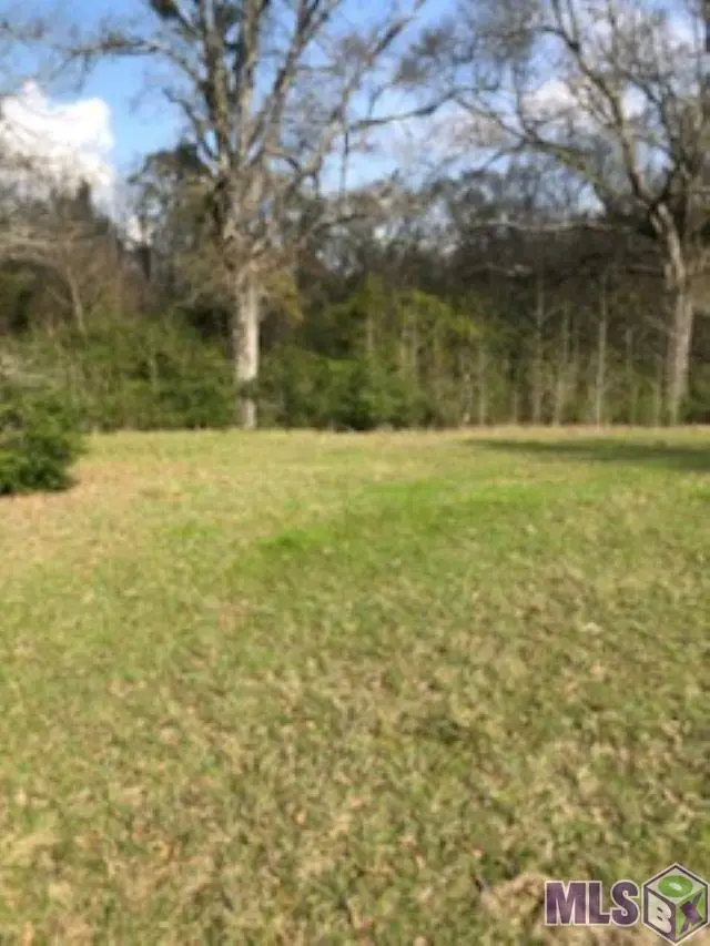 Tract C-1 Jacocks Rd, Slaughter, LA 70791 - Image #2
